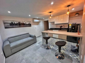 Aparta estudio Tipo Loft